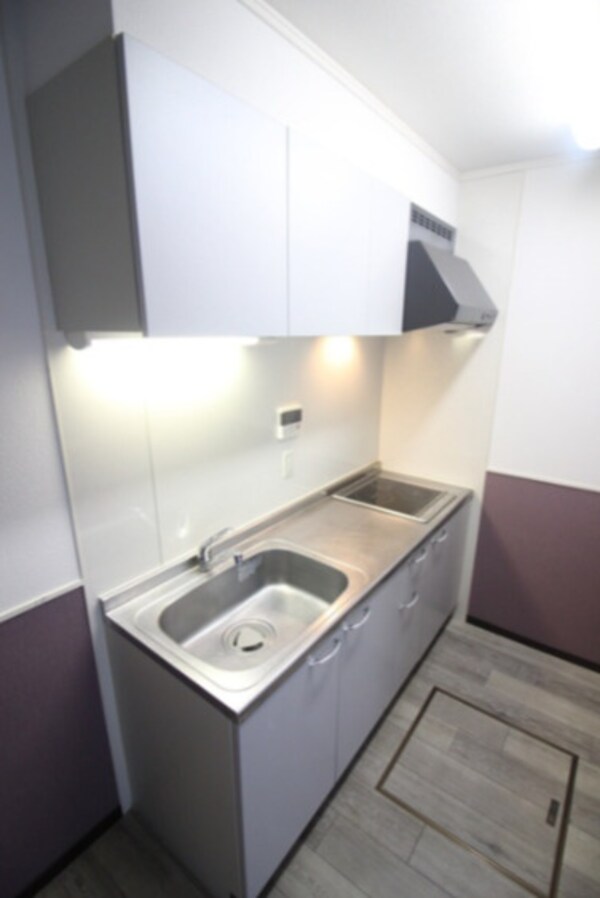 キッチン(内装は別部屋の参考写真です。)