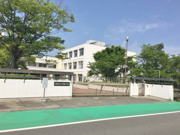 周辺環境(国立兵庫教育大学附属中学校 827m)