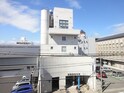 セイクラム桂
