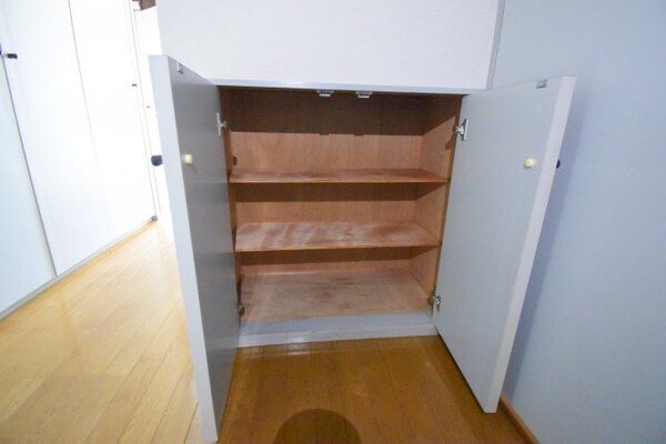 収納(別階同間取のお部屋の写真です)