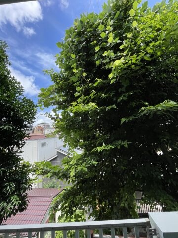 物件内観写真25　