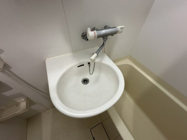 洗面・脱衣所(※別室参考写真)