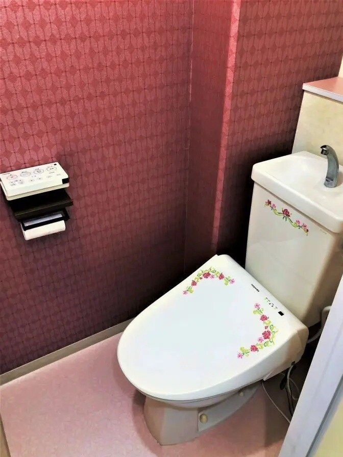 物件内観写真9　(持ち家のような豪華、贅沢なトイレ。　これが賃貸のトイレ？)