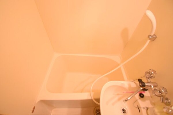 浴室(家具家電は撤去予定です)