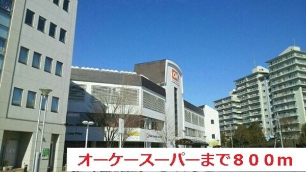 周辺環境(オーケースーパーまで800m)
