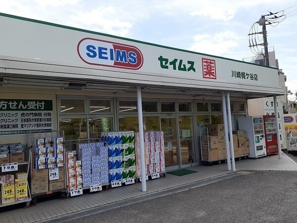周辺環境(セイムスまで85m)