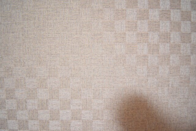 物件内観写真21　(クロス色)