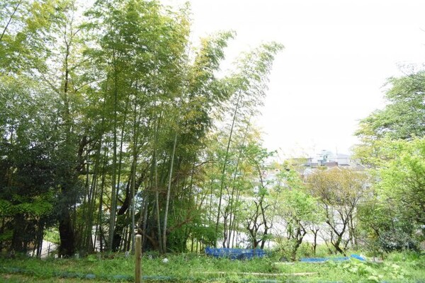 眺望(※別室参考写真)