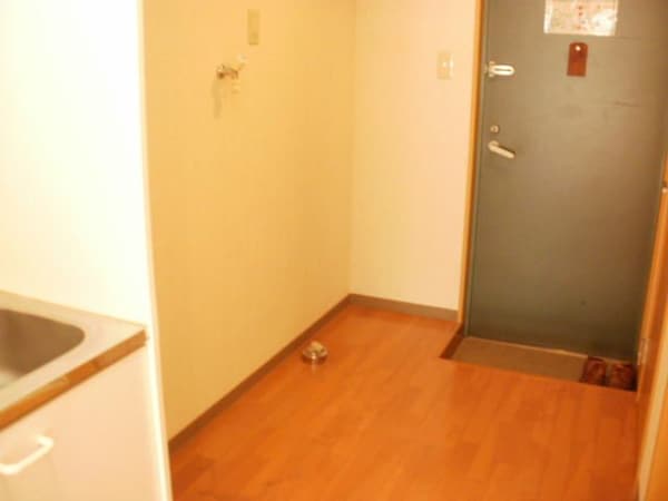 玄関(別部屋参考写真)
