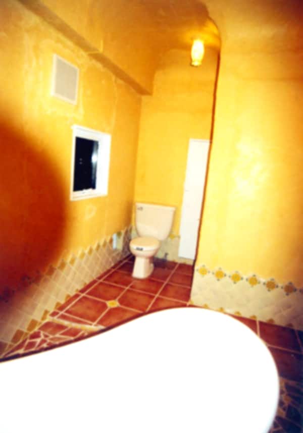 トイレ(トイレも気になるポイント)