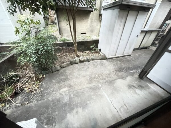 庭