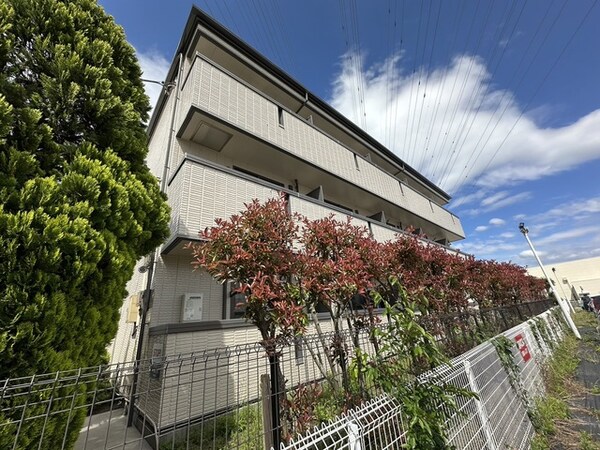 外観・土地