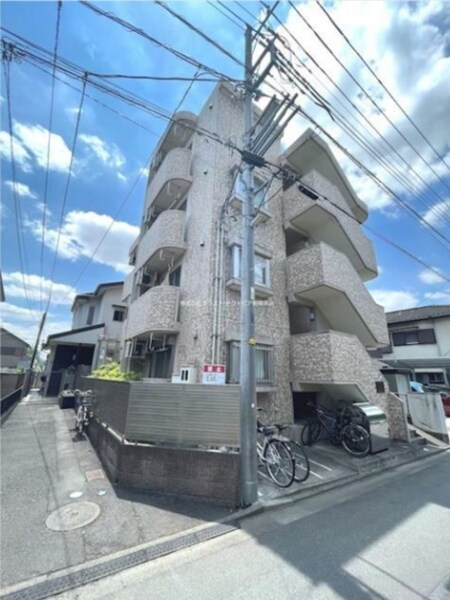 桜樹外観写真