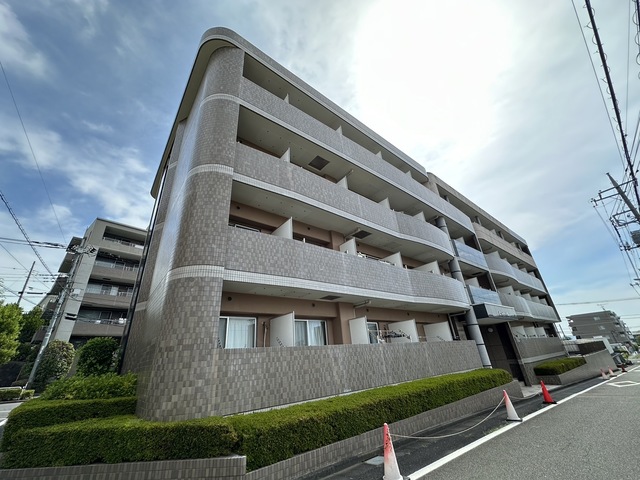 ルピナス5