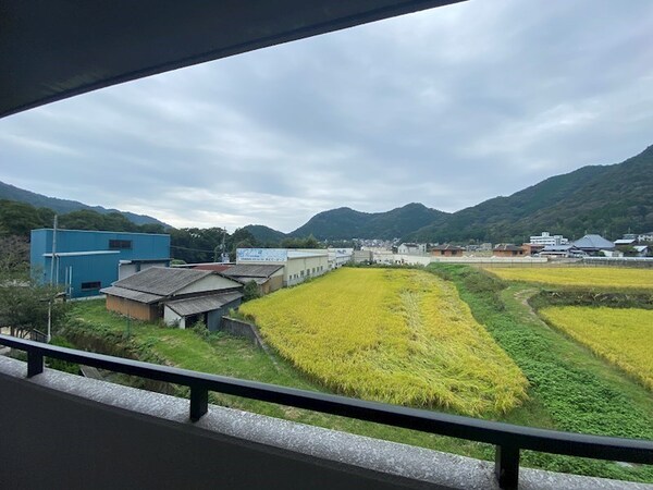 眺望