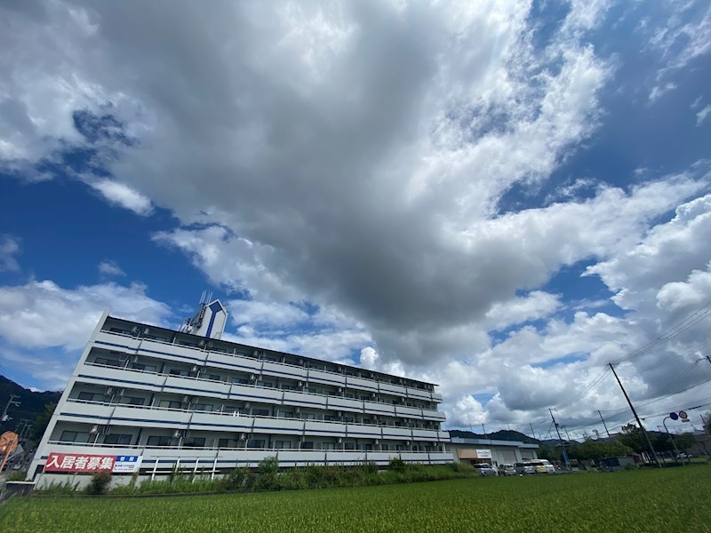 ウイングス北平野