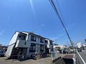 コスモスコート