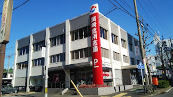 周辺環境(岡崎信用金庫瑞穂支店 213m)