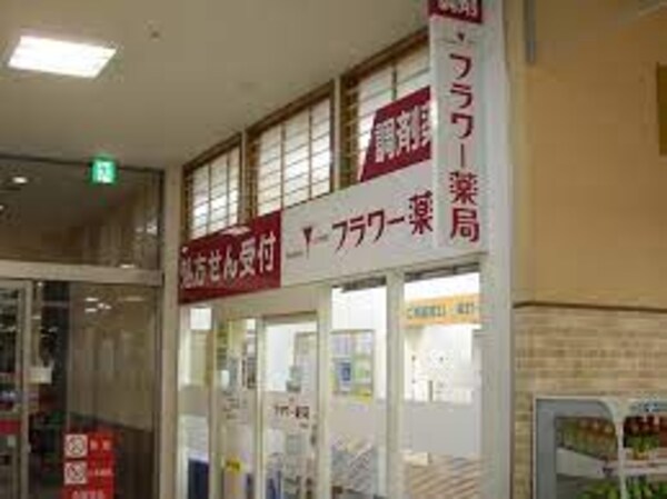 周辺環境(フラワー薬局砂田橋店 324m)