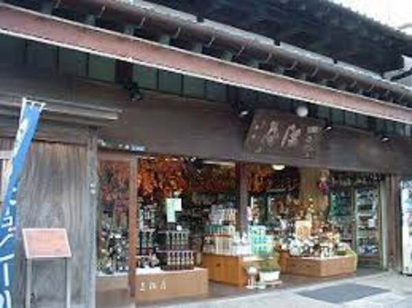 周辺環境(三河屋本店 505m)