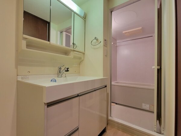 洗面所(階数によって設備、床、建具の配色が異なります。)