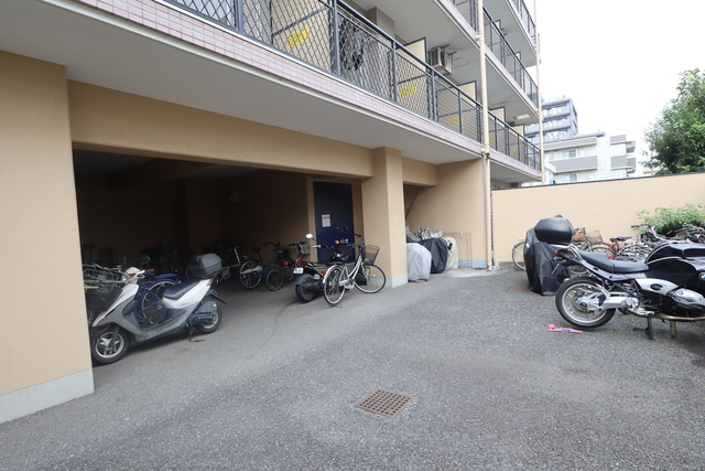 ヤングコート市川