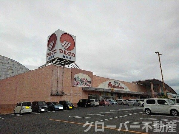周辺環境(マルナカ豊浜店まで1100m)