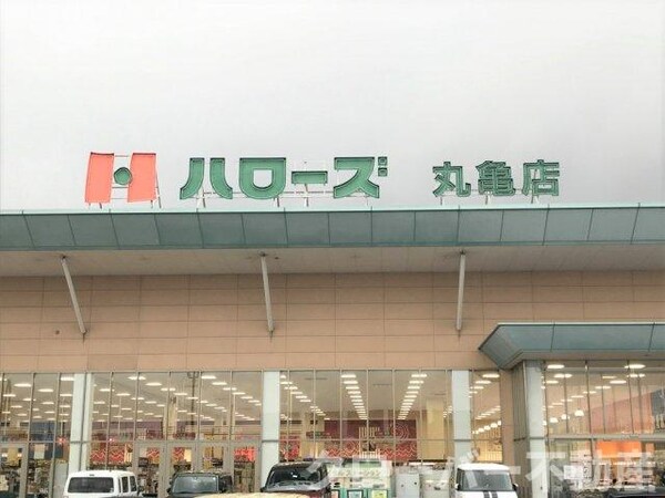 周辺環境