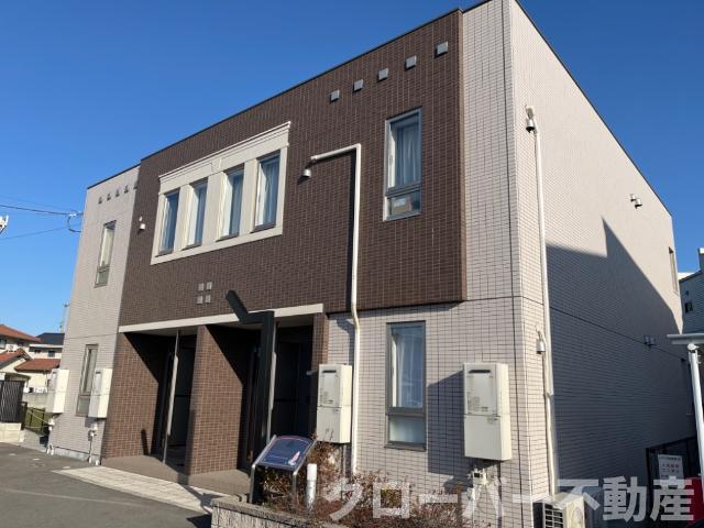 ルピナス　Ｂ
