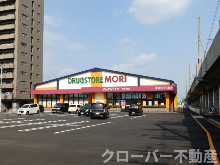 物件外観写真7　(ドラッグストア モリ(1020m))