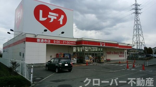 周辺環境(くすりのレディ善通寺店 1228ｍ)