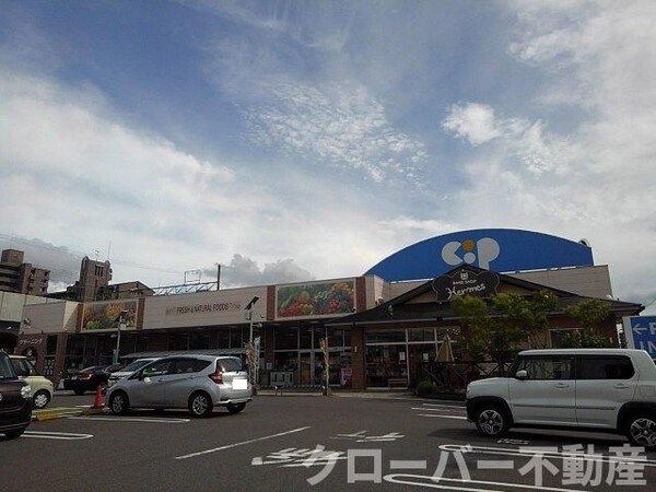 周辺環境(コープ宇多津店まで600m)