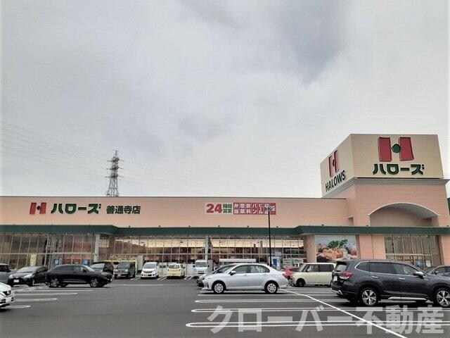 物件外観写真5　(ハローズ善通寺店まで1900m)