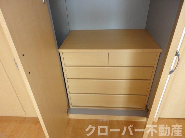 物件内観写真17　(クローゼットのタンス)
