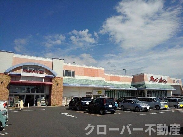 周辺環境(マルナカまんのう店まで350m)