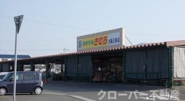 周辺環境(きむらまで500m)