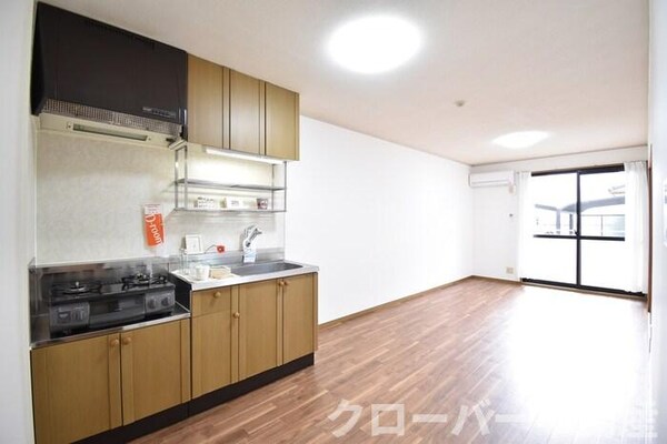 居室(ＬＤＫ１１．３帖)