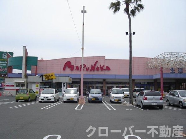 周辺環境(マルナカ宇多津店まで875ｍ)