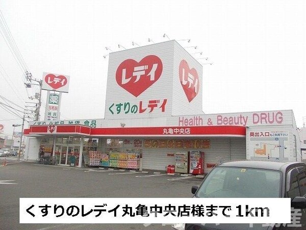 周辺環境(くすりのレデイまで1000m)