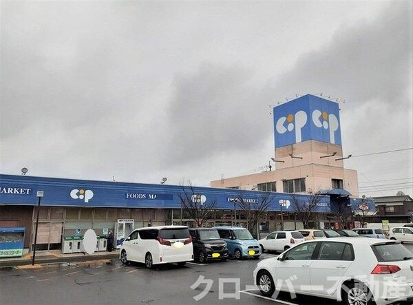 周辺環境(コープかがわ郡家店まで650m)