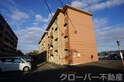 ココモ