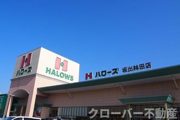 周辺環境(ハローズ坂出林田店まで800m)