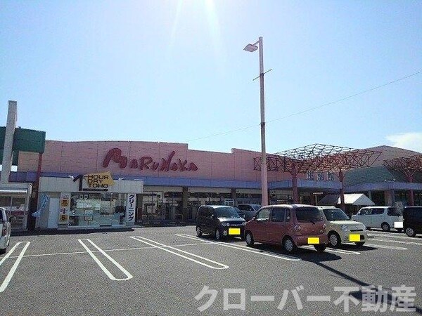 周辺環境(マルナカ宇多津店まで1100m)