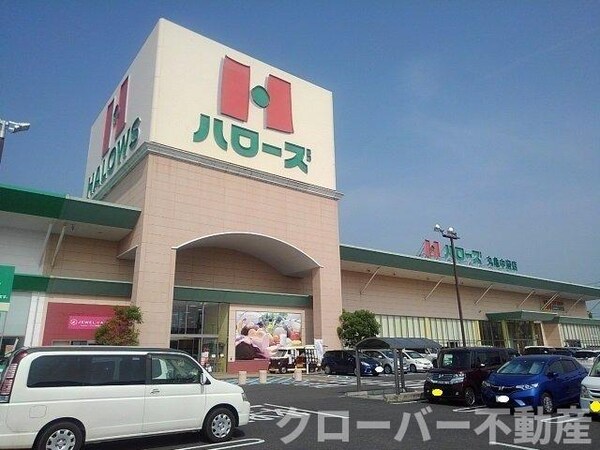 周辺環境(ハローズ丸亀中府店まで900m)