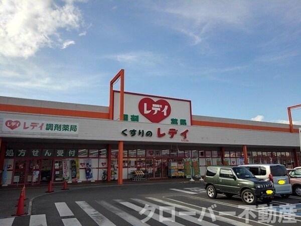 周辺環境(くすりのレディ多度津店まで750m)