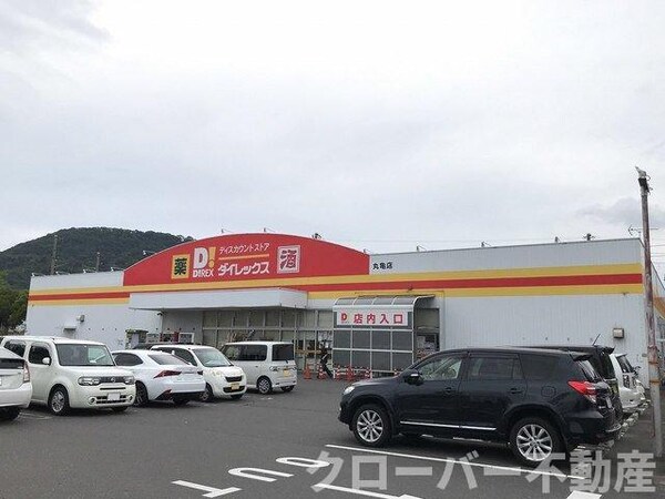 周辺環境(ダイレックス丸亀店まで550m)