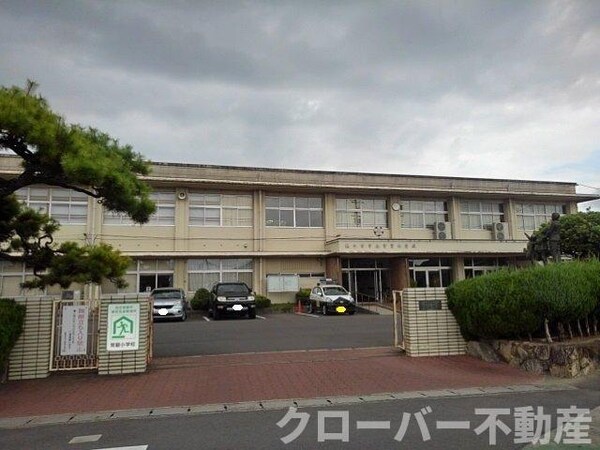 周辺環境(観音寺市立常盤小学校まで1800m)