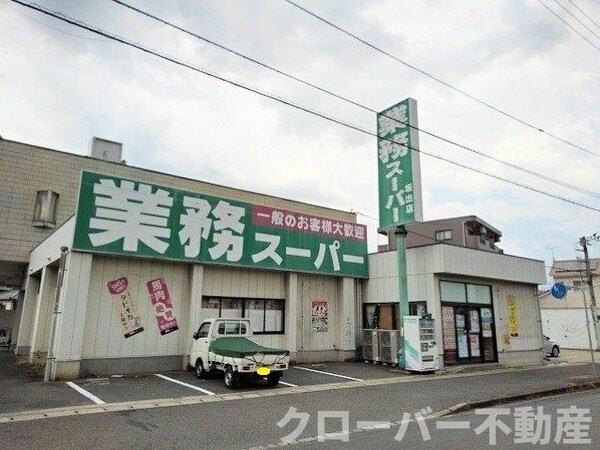 周辺環境(業務スーパー坂出店まで800m)