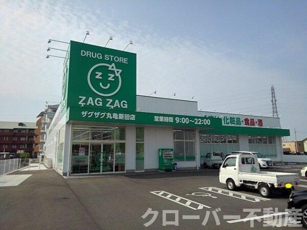 周辺環境(ザグザグ丸亀新田店まで300m)