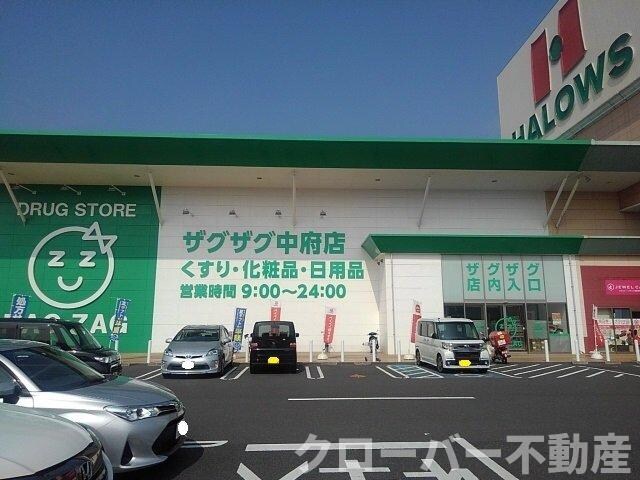 物件外観写真4　(ザグザグ丸亀中府店まで1000m)